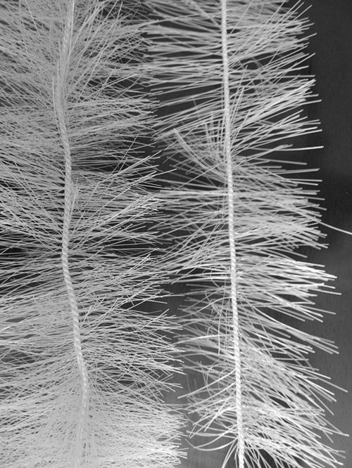 ���w��������